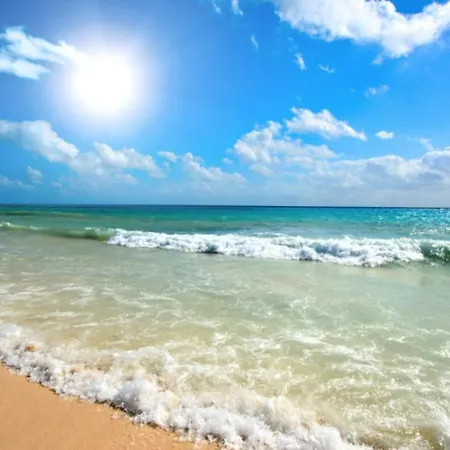 Admiral Plaza C 45 One Bedroom Apartment